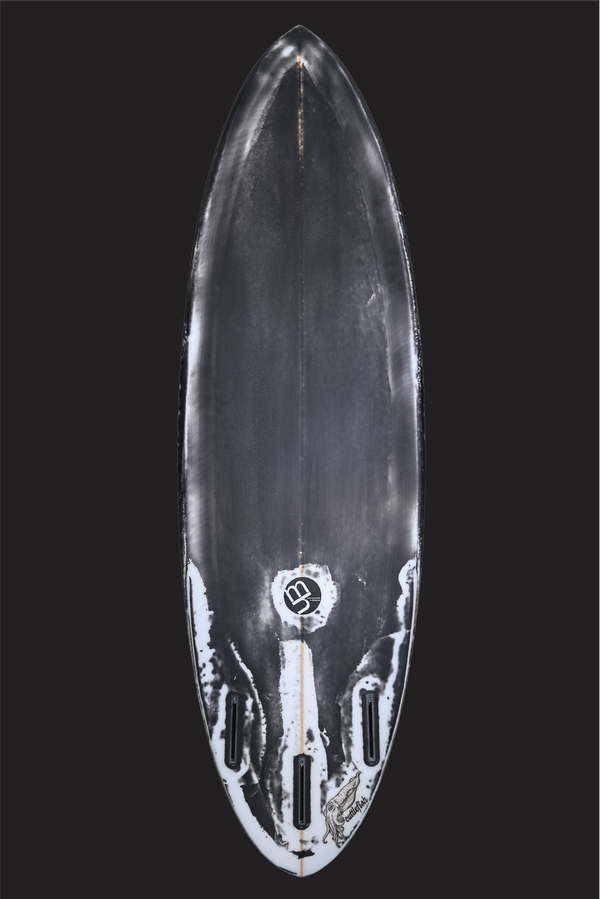 Cuttlefish - New!